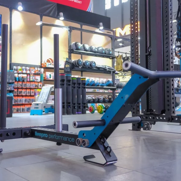 Gym Sled